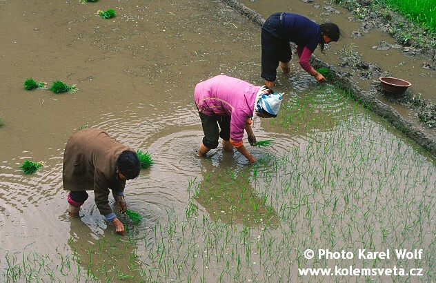 china-0008.jpg