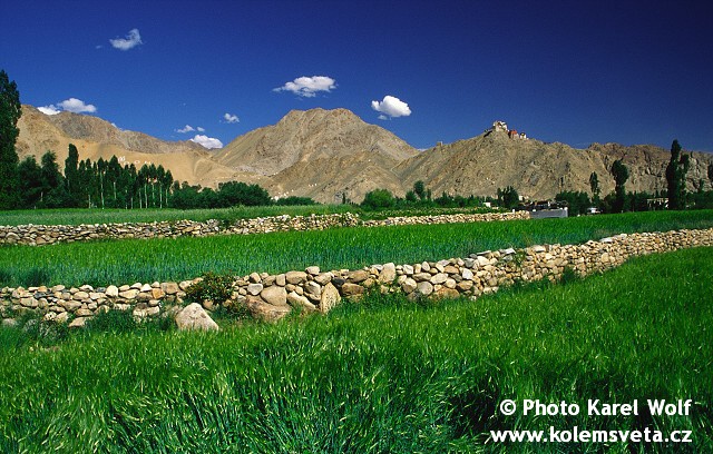 ladakh-0055-1.jpg