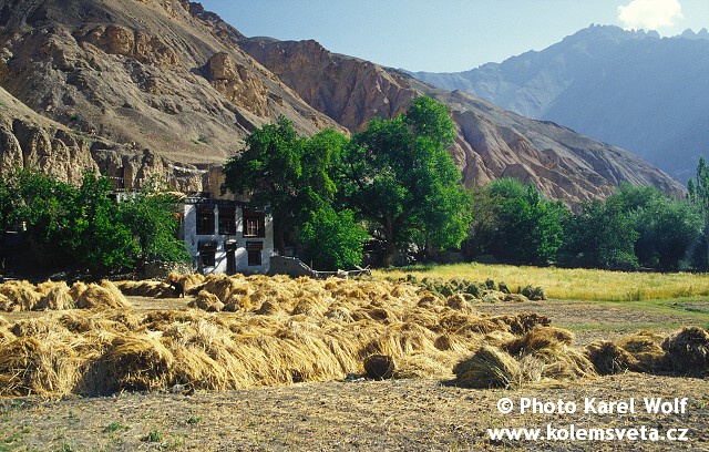 ladakh-0083.jpg