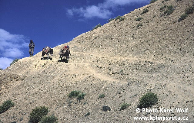 ladakh-0111.jpg