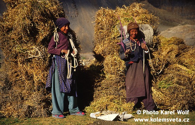 ladakh-0132.jpg