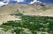 thn_ladakh-0006-1.jpg