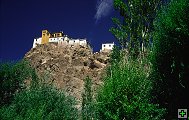 thn_ladakh-0040-1.jpg