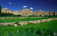 thn_ladakh-0055-1.jpg