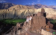 thn_ladakh-0080-1.jpg