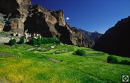 thn_ladakh-0082-2.jpg