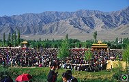 thn_ladakh-0142.jpg