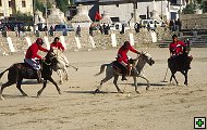 thn_ladakh-0149.jpg