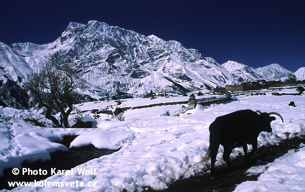 nepal-0071.jpg