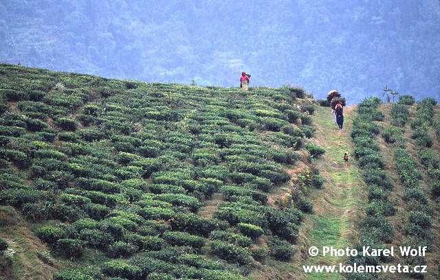 sikkim-0003.jpg