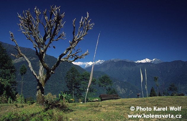 sikkim-0019.jpg