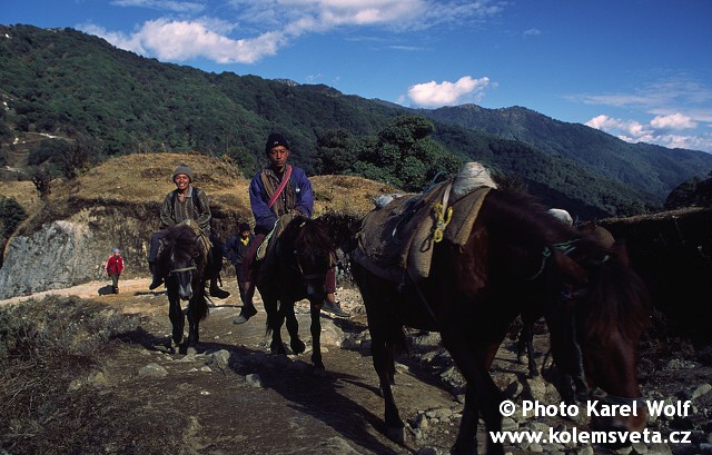 sikkim-0514.jpg