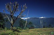 thn_sikkim-0019.jpg